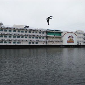 Meet your Posher, Ladell